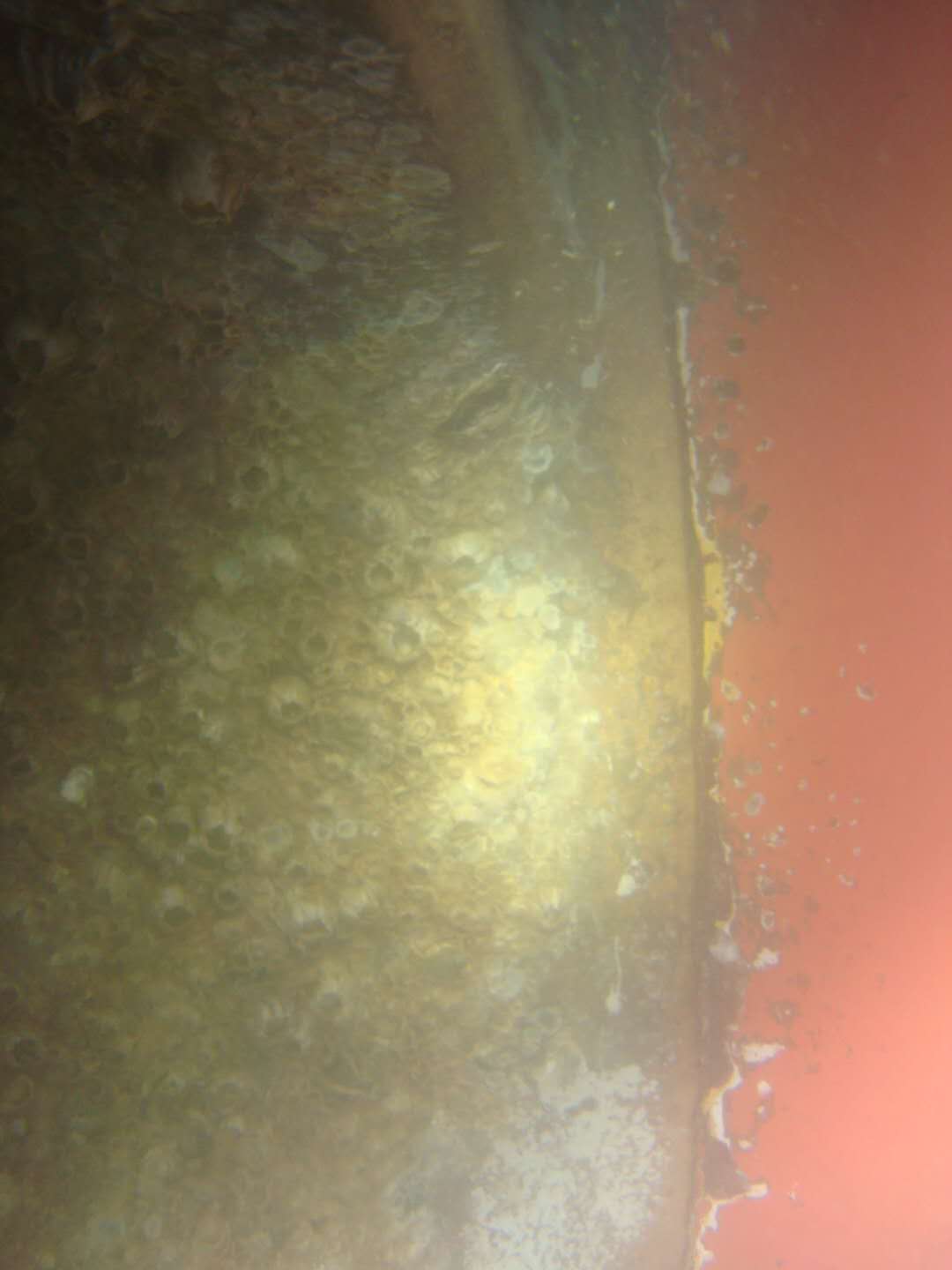 琼海水下照像与录像