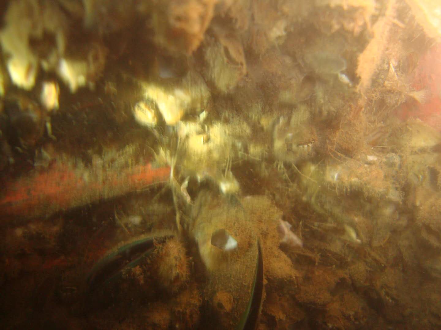 琼海水下照像与录像