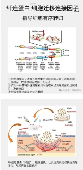 护肤