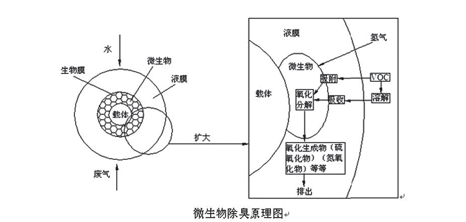 生物除臭塔
