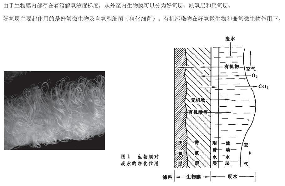 生活污水處理設(shè)備