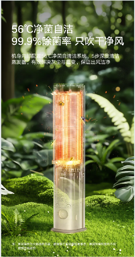 臻鲜风